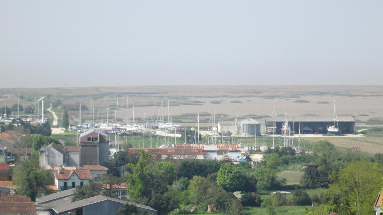 Grande Maison Charentaise Avec Vue Sur Le Chenal Superbes Couches De Soleil Sur L Estuaire De La Gironde! Mortagne-sur-Gironde Ngoại thất bức ảnh